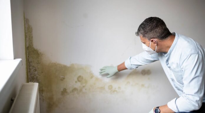 Mikrobi preprečijo alergije, plesen povzroči astmo