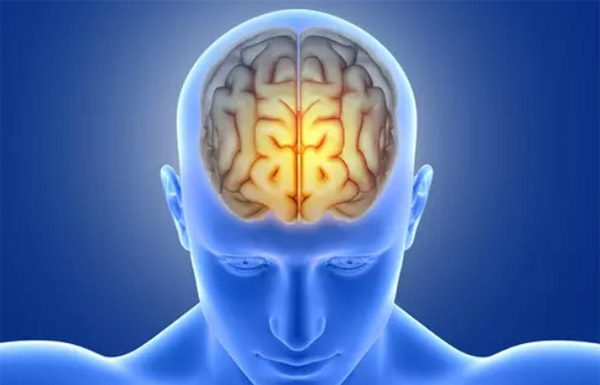 Magnezij nujno potreben za optimalno delovanje možganov