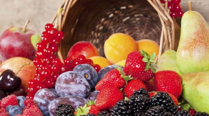 Uživanje veliko antioksidantov podaljšuje življenjsko dobo