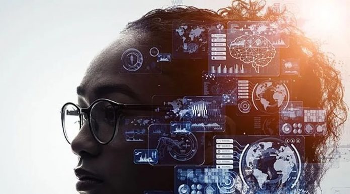 7 super zelišč za super možgane