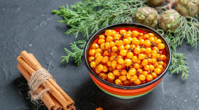 Že poznate olje rakitovca? Znižuje holesterol in skrbi za zdravo srce