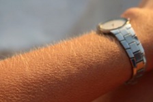 Se vam kdaj zgodi, da ob poslušanju glasbe dobite ‘kurjo polt’?