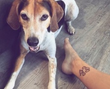 Ideja za tattoo – pasja tačka