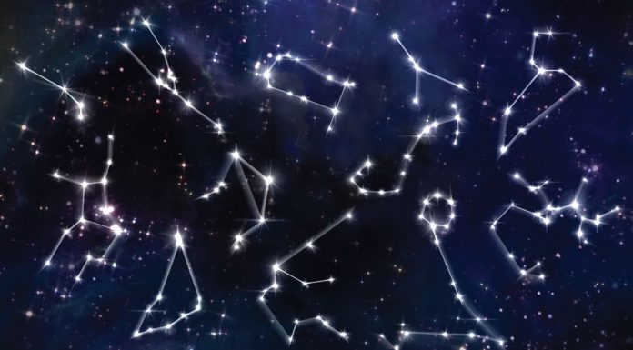 Namig, kako bo izgledalo leto 2018