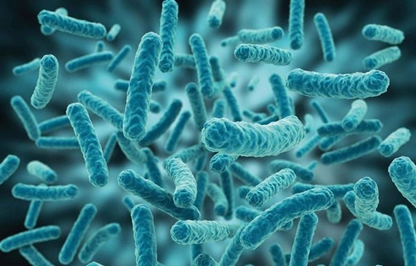 Probiotiki ščitijo pred gripo