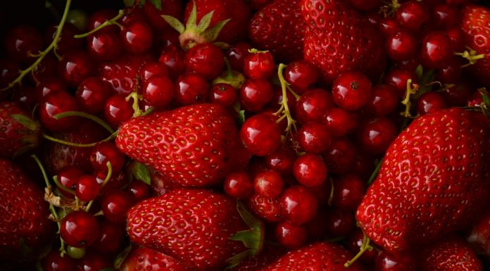 Salvestrol uničuje rakave celice