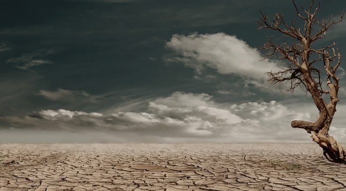 Test osebnosti: kaj je tisto, kar na sliki opazite najprej?