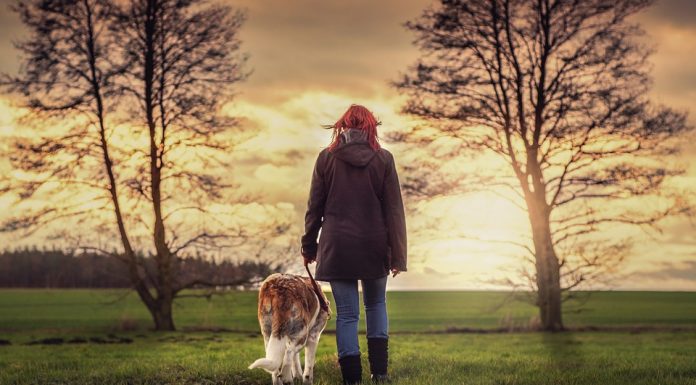 Koliko ur vadbe na teden je dovolj, da zmanjšate tveganje za srčni infarkt?