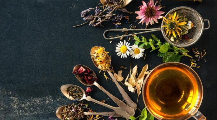 Zeliščni čaji, ki jih imejte vedno pri roki (ker za vsako bolezen rož’ca raste)