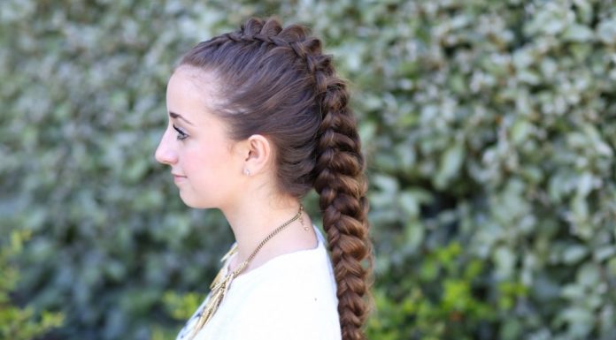 Ideja za dolge lase: zmajeva kitka