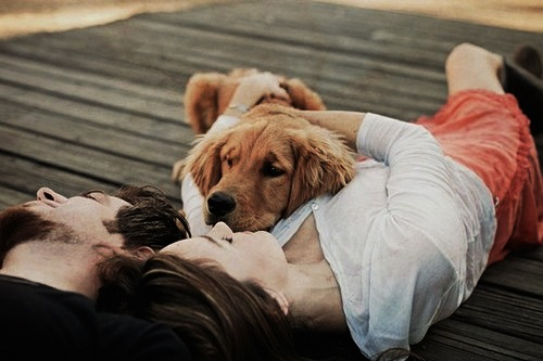 Nekateri imajo raje svojega hišnega ljubljenčka kot pa partnerja