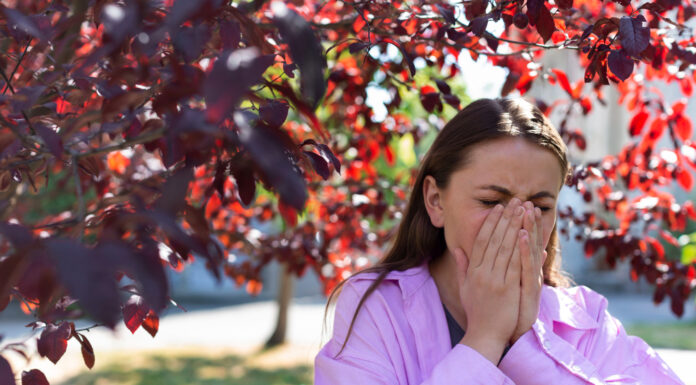 Zakaj občutimo spomladansko utrujenost in kako jo lahko preprečimo?