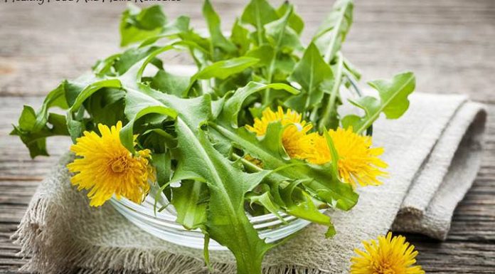 Regrat krepi zdravje (ko boste prebrali, kako zdravilno deluje, ga boste imeli še rajši)