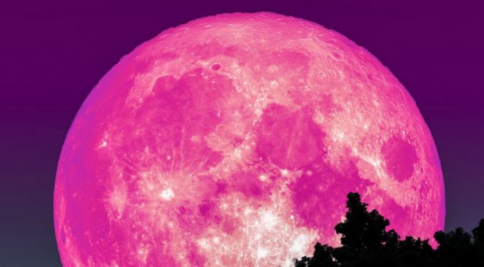 Tokratna polna Luna prinaša uspehe!