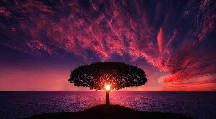 Paulo Coelho: 7 krasnih misli za lepši dan