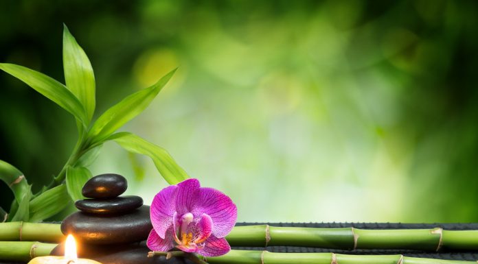 7 feng shui napak, ki jih delamo (in ki nam škodijo)