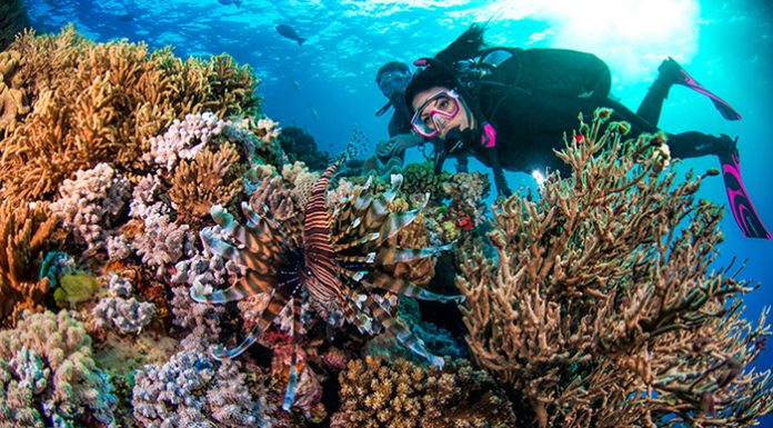 Na Havajih prepovedali prodajo izdelkov za sončenje, ki škodujejo nam in okolju