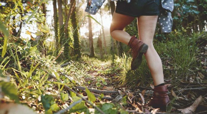 Gozdna kopel: japonski trend (ki ga pravzaprav poznamo že kar nekaj časa)
