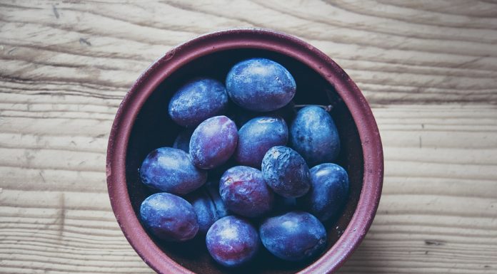 Slive: pozabljeni zaklad narave