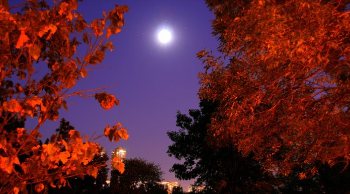 Kako preživeti krajše in temnejše dni (6 nasvetov)
