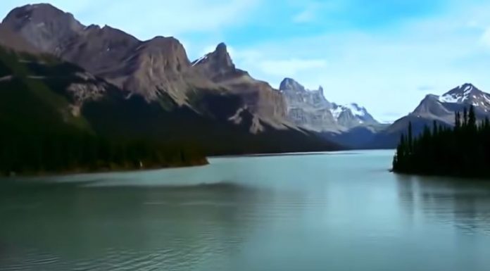 Video za lepši dan: čudovita narava