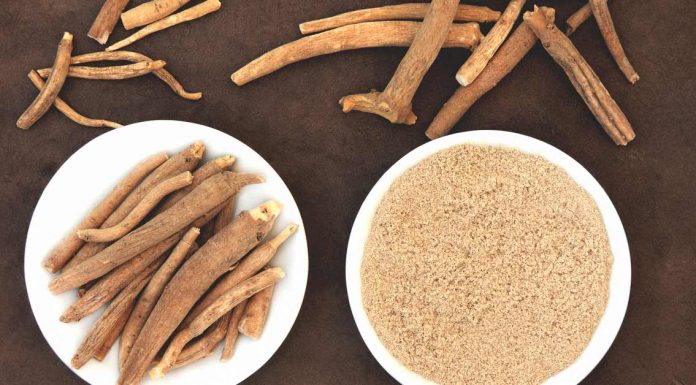 Ashwagandha je ajurvedsko orožje za pomlajevanje