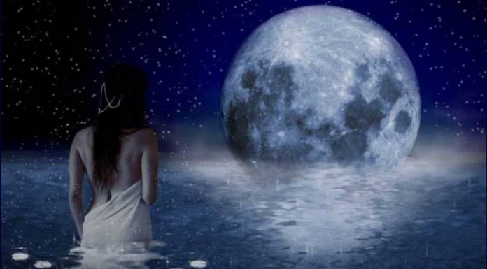 Polna Luna (23. 11. 2018) nam bo odprla oči