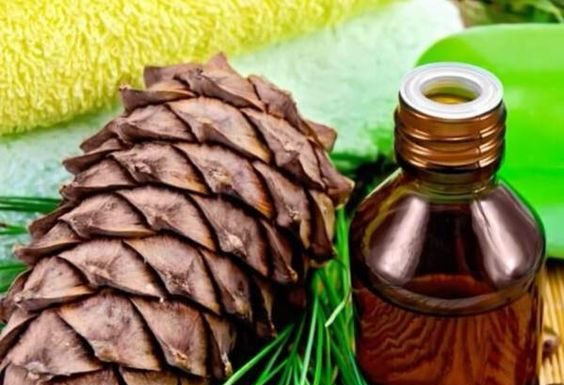 Za boljše odnose med prazniki naj v domu zadiši po cedri