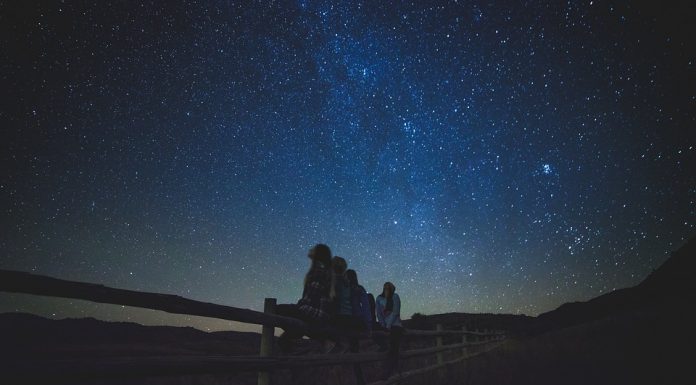 Kaj nam bo prineslo leto 2019?