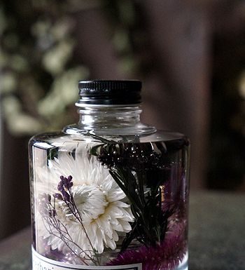 Trenutno velik hit, kako lahko šopek vaš dom krasi dlje časa (tudi valentinovo darilo)