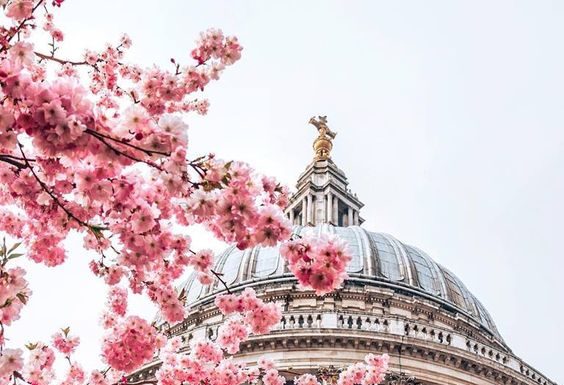 Zanimiva mesta nepričakovano skrivajo ključ do veselja