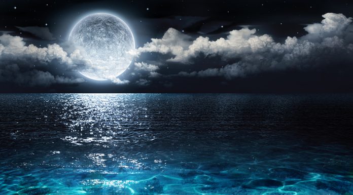 Polna Luna (21. 3. 2019) bo prinesla nove energije