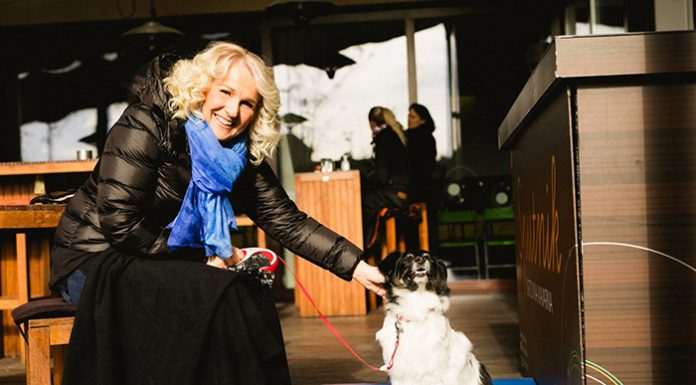 Ljubljana ima vse več kužkom prijaznih lokalov