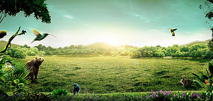 Test osebnosti: katera je prva žival, ki jo na sliki zagledate?