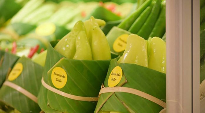 Azijski supermarketi namesto plastike uporabljajo bananine liste