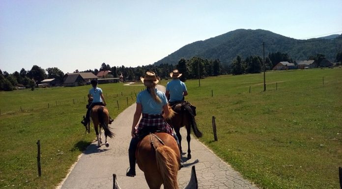 Ideja za izlet: S konjem po jahalnih poteh