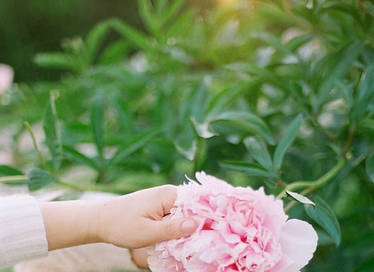 Vpliv spomladanskih barv in kako si z njimi dvigniti razpoloženje