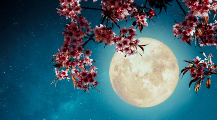 Polna Luna (18. 5. 2019) bo prinesla očiščevalne procese