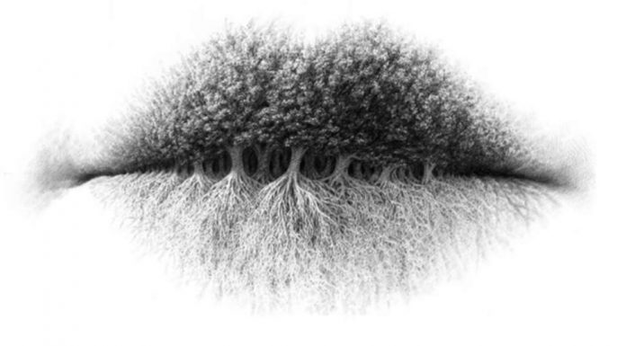 Test osebnosti: kaj na sliki zagledate najprej?