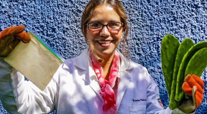 Plastika, narejena iz kaktusa