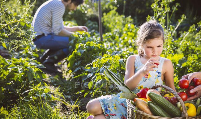 Vrtnarjenje je čudežna terapija, ki ugodno vpliva na nas