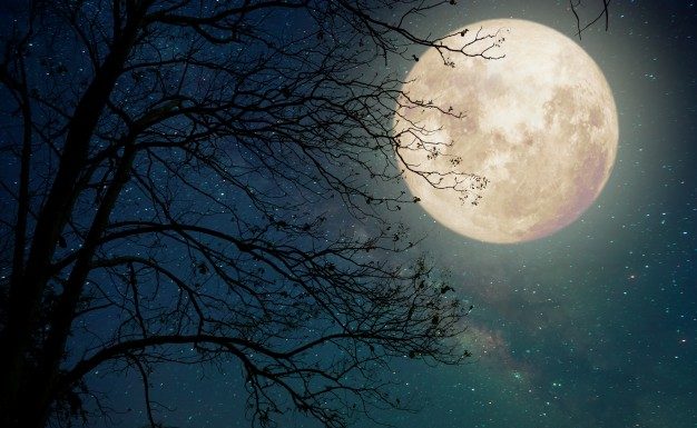 Tako bosta polna luna in mrk vplivala na vas