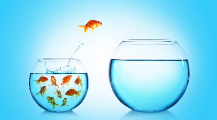 Zakaj pustiti delo v službi?