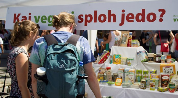 V soboto je bil na Pogačarjevem trgu Vegafest 2019