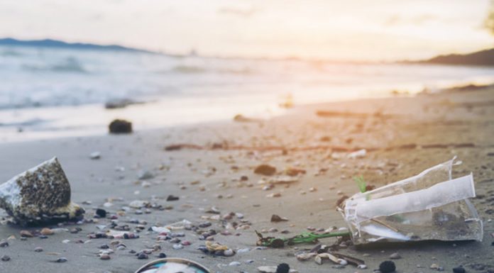 8 dejanj, s katerimi pripomorete k zmanjšanju onesnaževanja oceanov