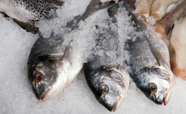 Kako dolgo lahko nekatera živila hranimo v zamrzovalniku