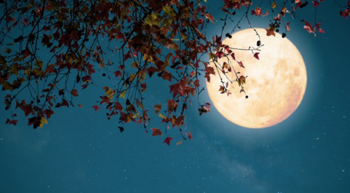 Novembrska polna luna (12. 11. 2019) bo povzročala preglavice