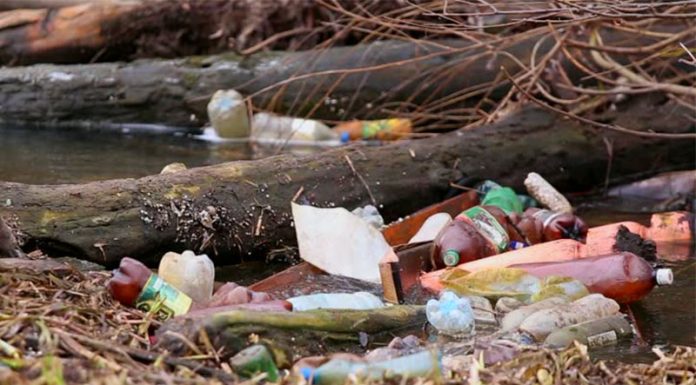 470 tisoč odpadkov v naravi je posledica neukrepanja najbolj poznanih blagovnih znamk