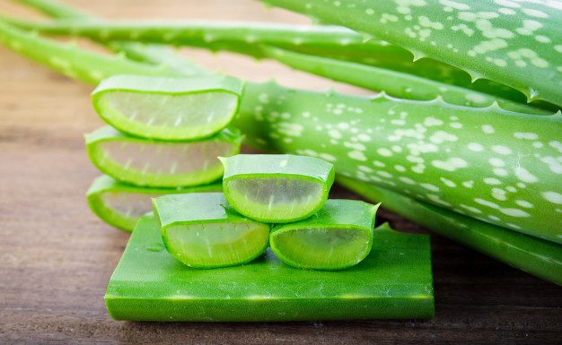 Čudežna aloe vera in njene zdravilne lastnosti