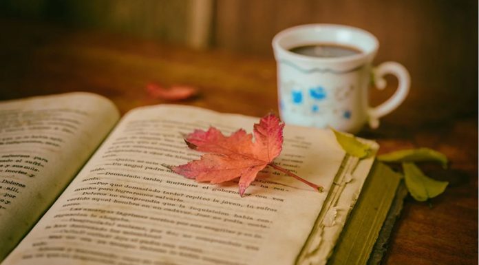 To je knjiga, ki spreminja življenja (in bi jo moral prebrati vsakdo)